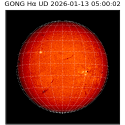 gong - 2026-01-13T05:00:02