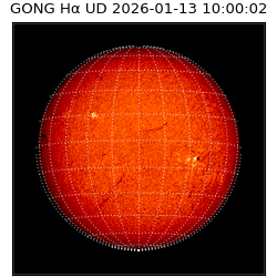 gong - 2026-01-13T10:00:02