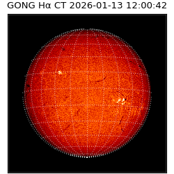 gong - 2026-01-13T12:00:42