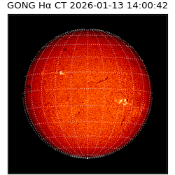 gong - 2026-01-13T14:00:42