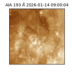 saia - 2026-01-14T09:00:04.840000