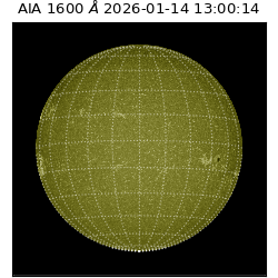 saia - 2026-01-14T13:00:14.119000