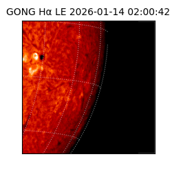 gong - 2026-01-14T02:00:42