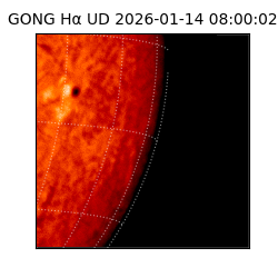 gong - 2026-01-14T08:00:02
