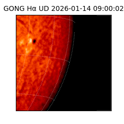 gong - 2026-01-14T09:00:02