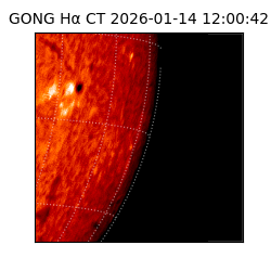 gong - 2026-01-14T12:00:42