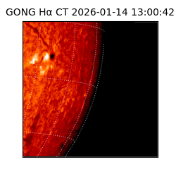 gong - 2026-01-14T13:00:42