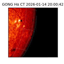 gong - 2026-01-14T20:00:42