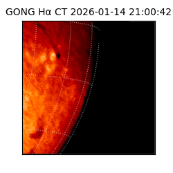 gong - 2026-01-14T21:00:42