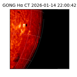 gong - 2026-01-14T22:00:42