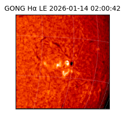 gong - 2026-01-14T02:00:42