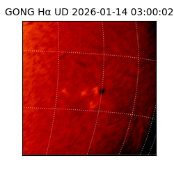 gong - 2026-01-14T03:00:02