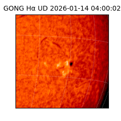 gong - 2026-01-14T04:00:02