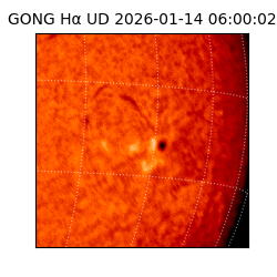 gong - 2026-01-14T06:00:02