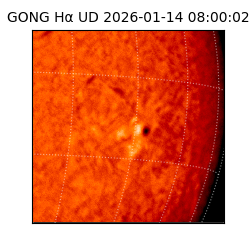 gong - 2026-01-14T08:00:02