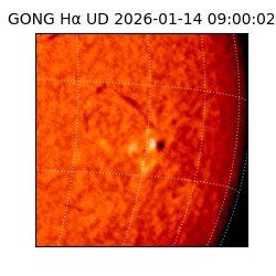 gong - 2026-01-14T09:00:02