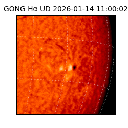 gong - 2026-01-14T11:00:02
