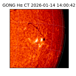 gong - 2026-01-14T14:00:42
