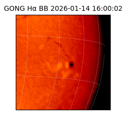 gong - 2026-01-14T16:00:02