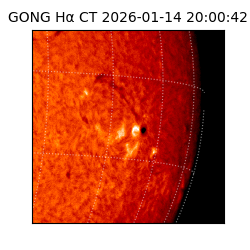 gong - 2026-01-14T20:00:42