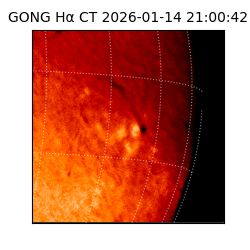 gong - 2026-01-14T21:00:42