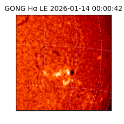 gong - 2026-01-14T00:00:42