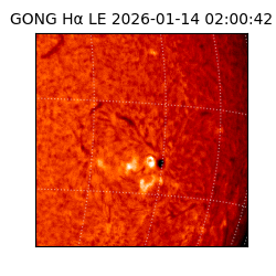 gong - 2026-01-14T02:00:42