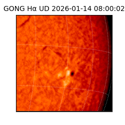 gong - 2026-01-14T08:00:02