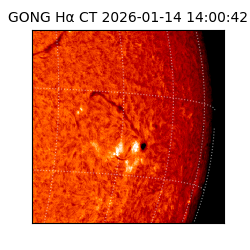 gong - 2026-01-14T14:00:42