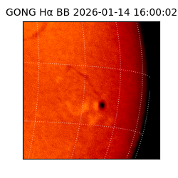 gong - 2026-01-14T16:00:02