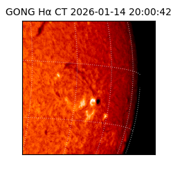 gong - 2026-01-14T20:00:42