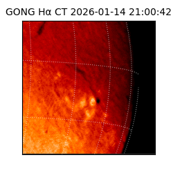 gong - 2026-01-14T21:00:42