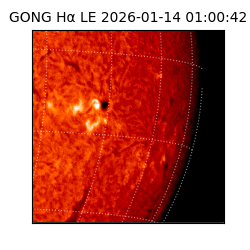 gong - 2026-01-14T01:00:42