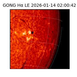 gong - 2026-01-14T02:00:42