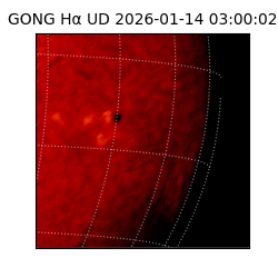 gong - 2026-01-14T03:00:02