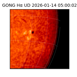 gong - 2026-01-14T05:00:02