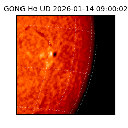 gong - 2026-01-14T09:00:02
