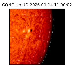 gong - 2026-01-14T11:00:02