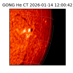 gong - 2026-01-14T12:00:42