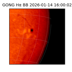 gong - 2026-01-14T16:00:02