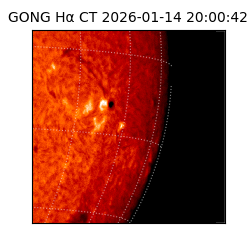 gong - 2026-01-14T20:00:42