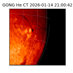 gong - 2026-01-14T21:00:42