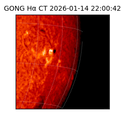 gong - 2026-01-14T22:00:42