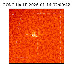 gong - 2026-01-14T02:00:42