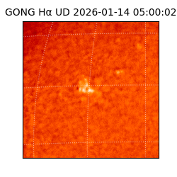 gong - 2026-01-14T05:00:02