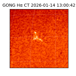 gong - 2026-01-14T13:00:42