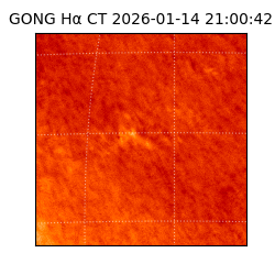 gong - 2026-01-14T21:00:42