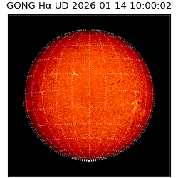 gong - 2026-01-14T10:00:02