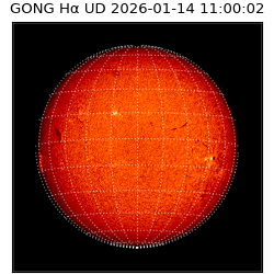 gong - 2026-01-14T11:00:02