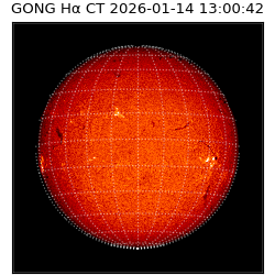gong - 2026-01-14T13:00:42